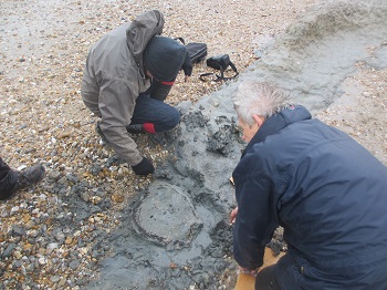 Uncovering the basket